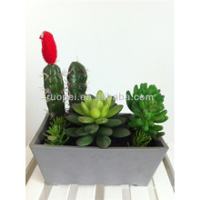 Wholesale Vivid artificial mixed succulent plant bonsai made in China